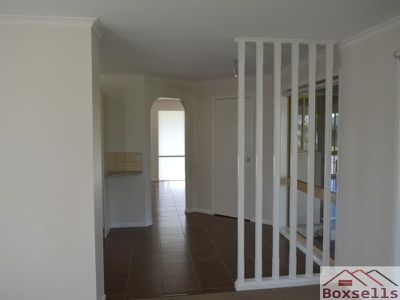 54 Palm, Maleny