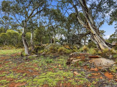 3 Anglers Crescent, Miena