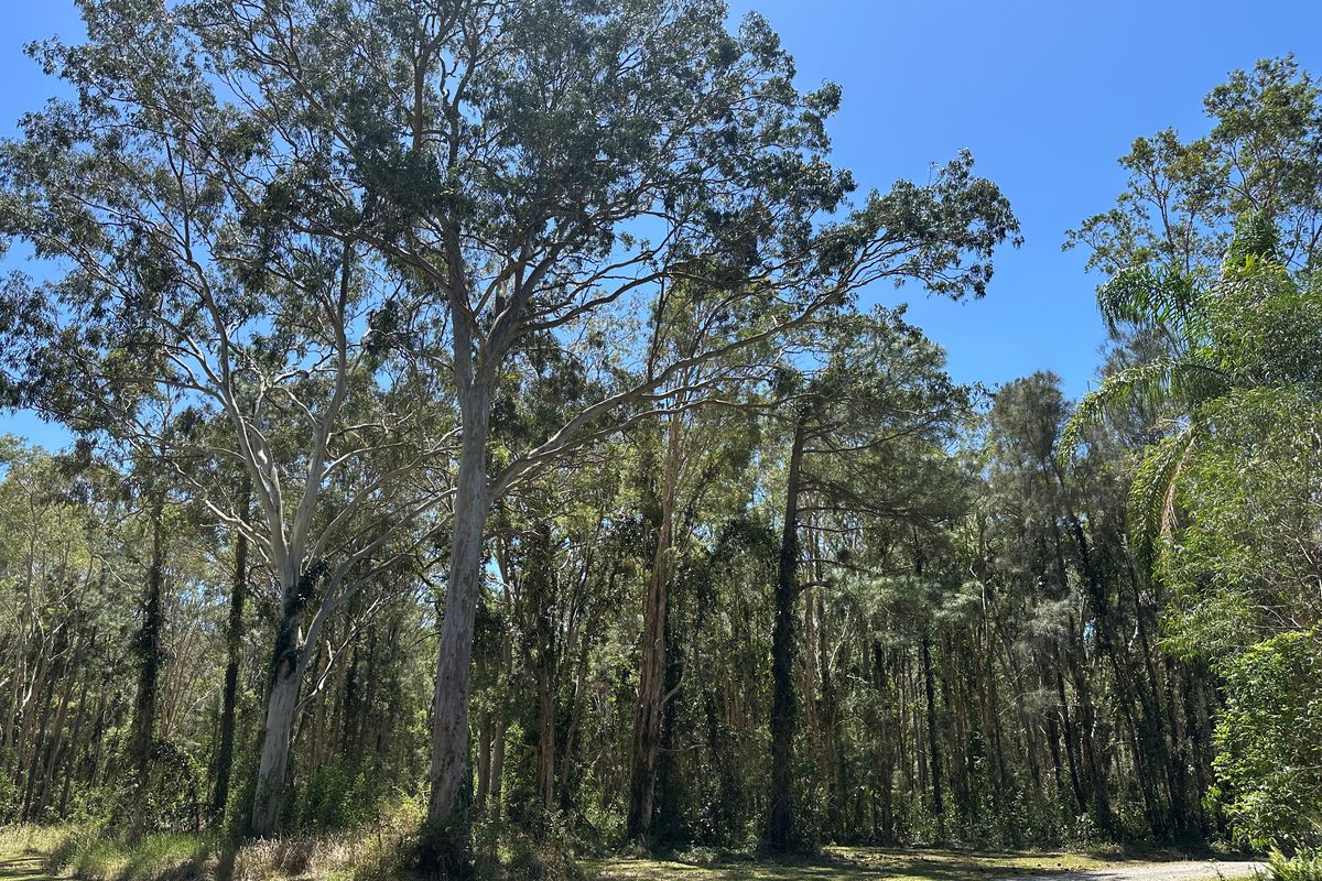 1667 Pumicestone Road, Toorbul
