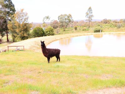 109 Meadows Lane, Heathcote