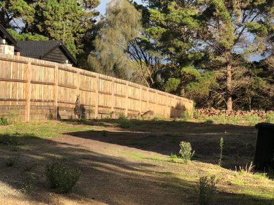 132 Cape Schanck Road, Cape Schanck