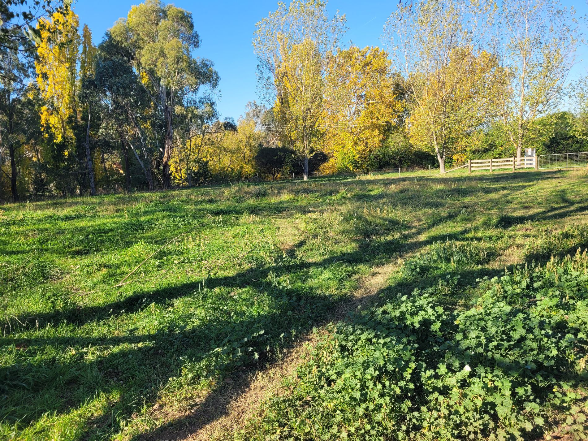 5 Rowe Street, Mansfield