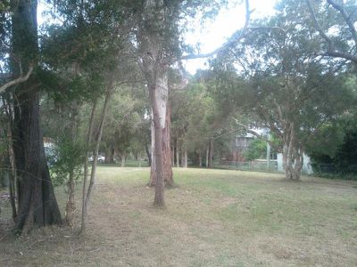 186A Dora Street, Dora Creek