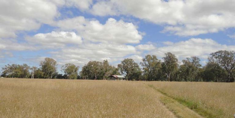 776 Shepparton - Euroa Road, Euroa