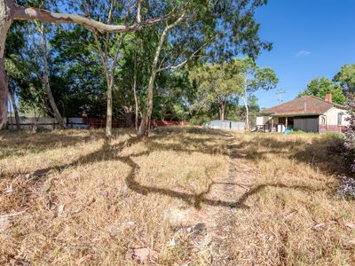 4 Levity Cove, Hilbert