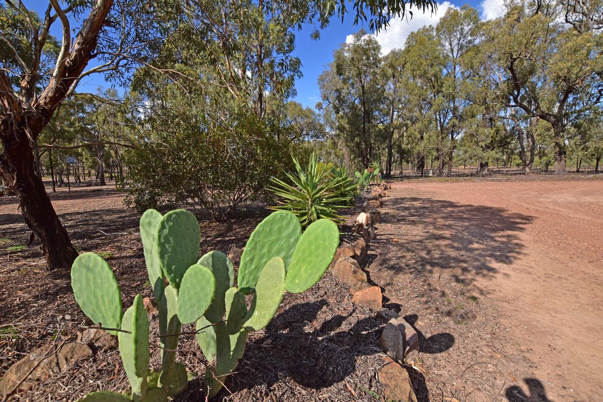 826 Murchison-Whroo Road, Rushworth