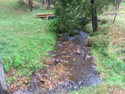 Lot 8, Wild Dog Road, Merrijig