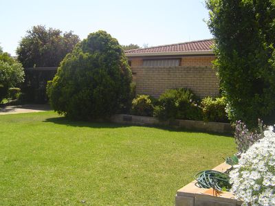 7 Kurrajong Court, Dubbo