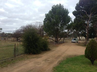 29 McKenzie Street, Conargo