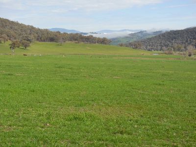 . Swampy Plains Creek Road, Khancoban
