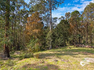 45 Lyrebird Place, Bodalla