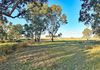 1277 Cheviot Hills Road, Wagga Wagga
