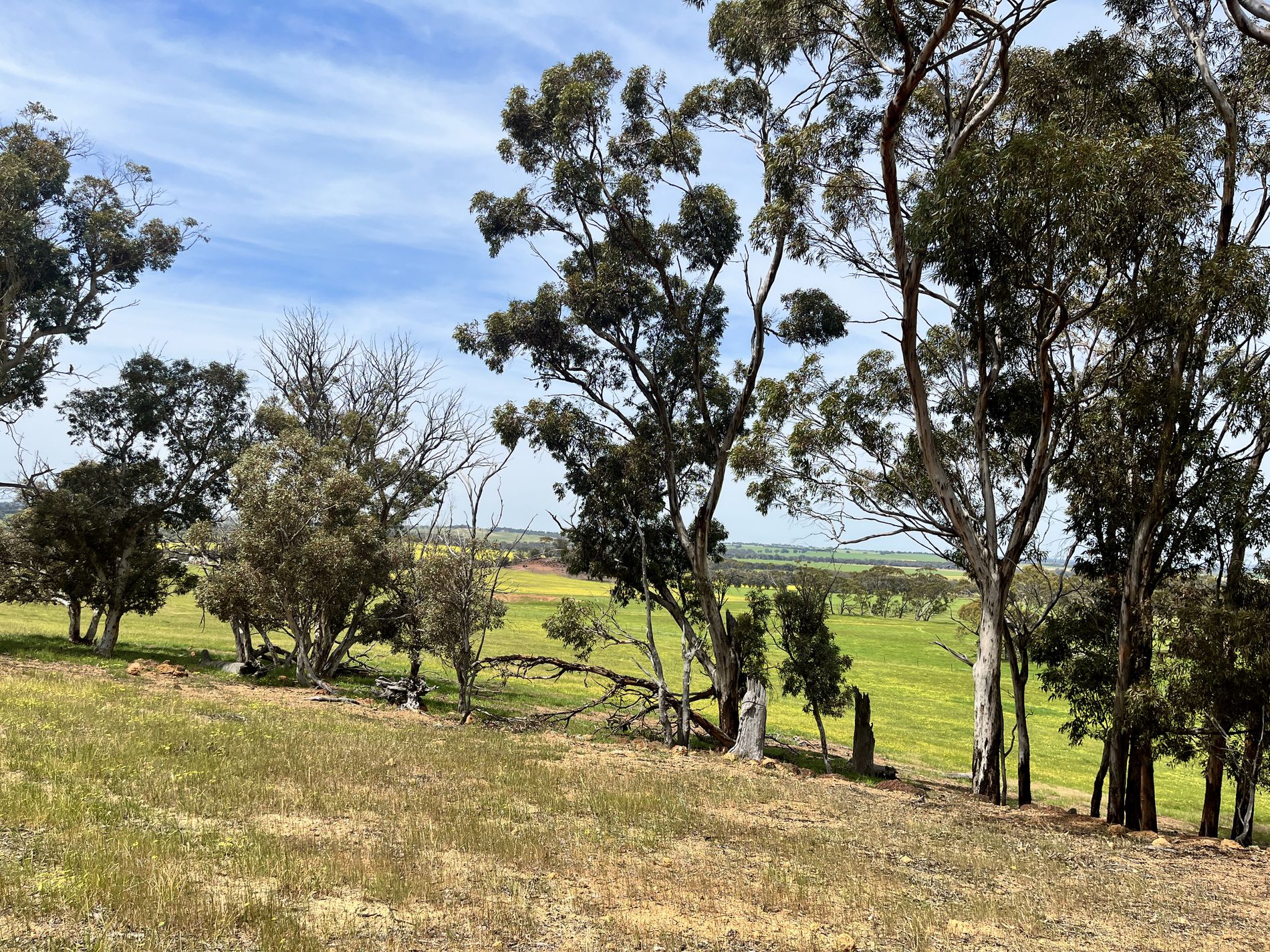 547 Bunmulling Road, Popanyinning