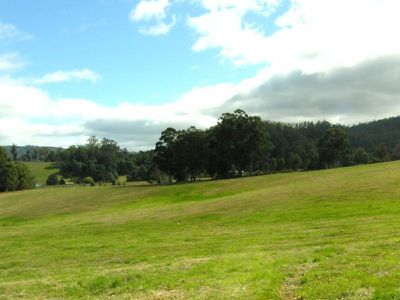 Tobys Hill Road, Cygnet