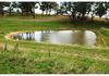227 Emu Swamp Road, Lucknow