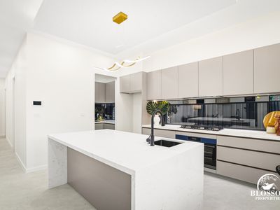 86 Feathertail Avenure, Marsden Park