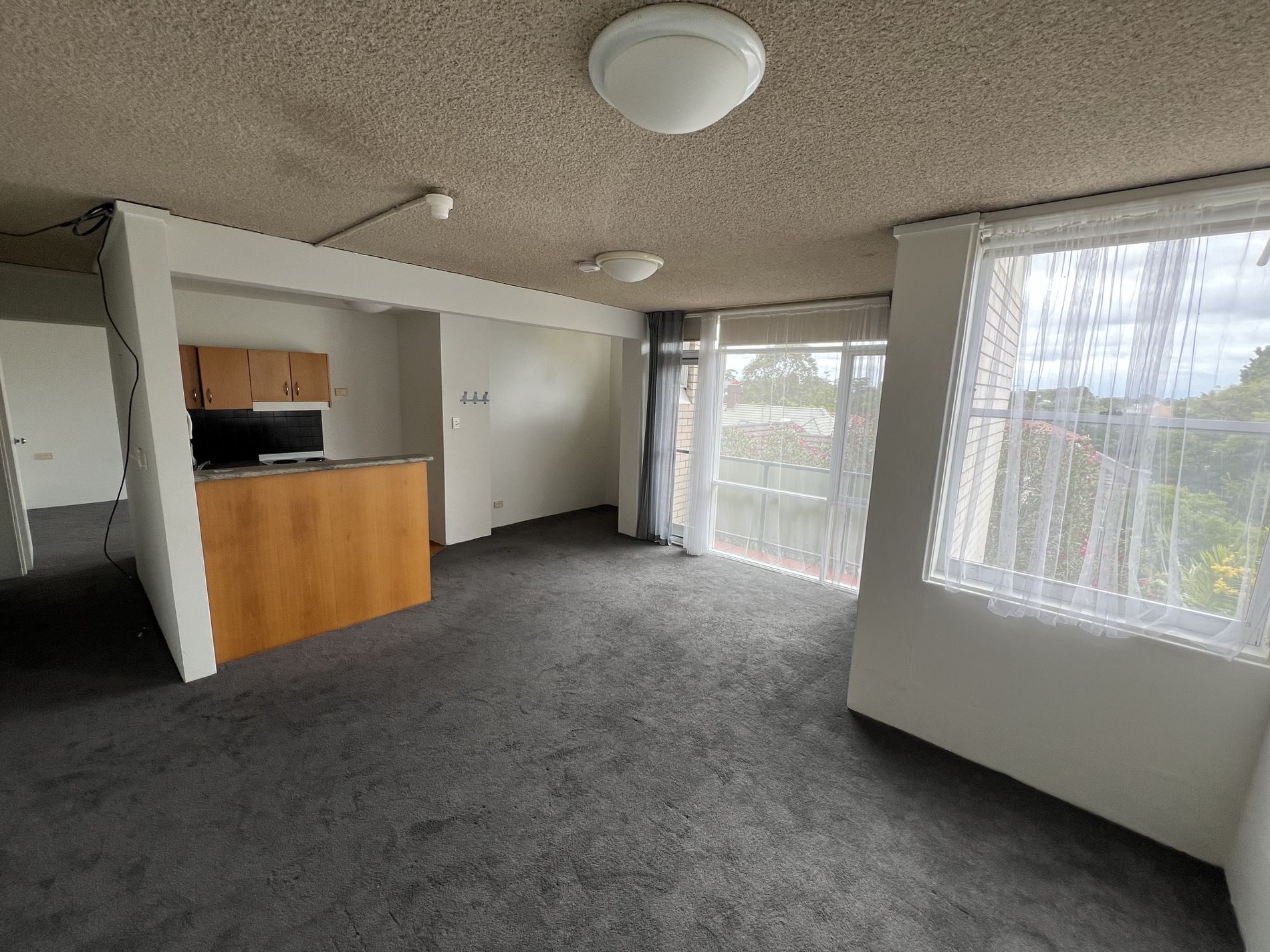 83 / 51 Hereford Street, Glebe