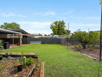 19 Dumbarton Avenue, Edwardstown