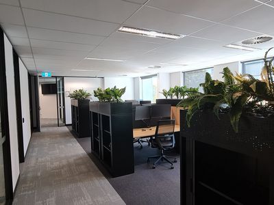 1:02 / 55 Blackall Street, Barton