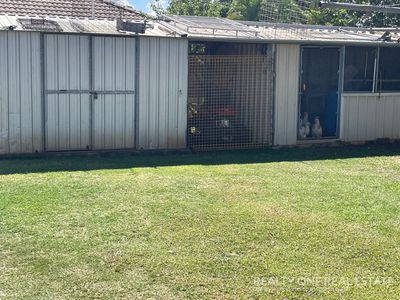 66 DAVISON STREET, Gracemere