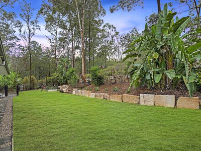 56 Blue Hills Drive, Bunya