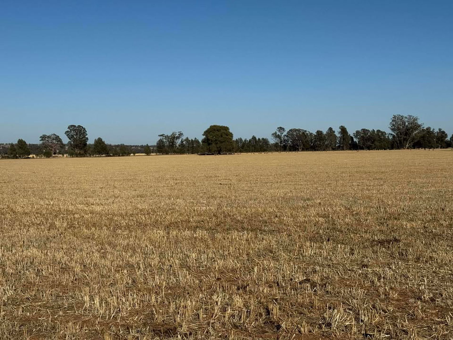 342 Olieview Road, Parkes