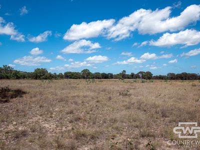 Lot 6, 2202 Wellington Vale Road, Emmaville