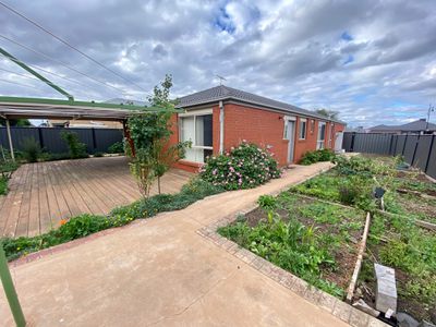 7 Nighthawk Road, Tarneit