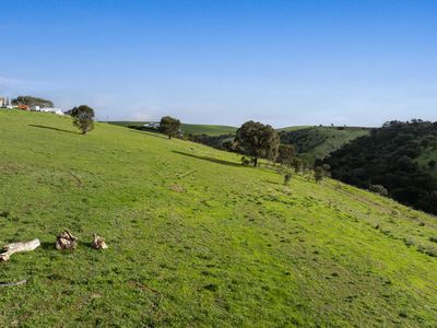 5 Seaview Avenue , Wirrina Cove