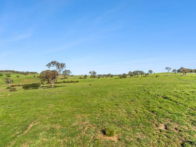103 Turkey Hill Road, Limerick via, Crookwell