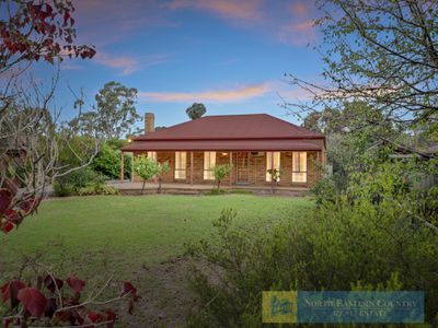 31 Shiffner Street, Violet Town