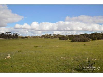 19 Goondooloo Road, Bowhill