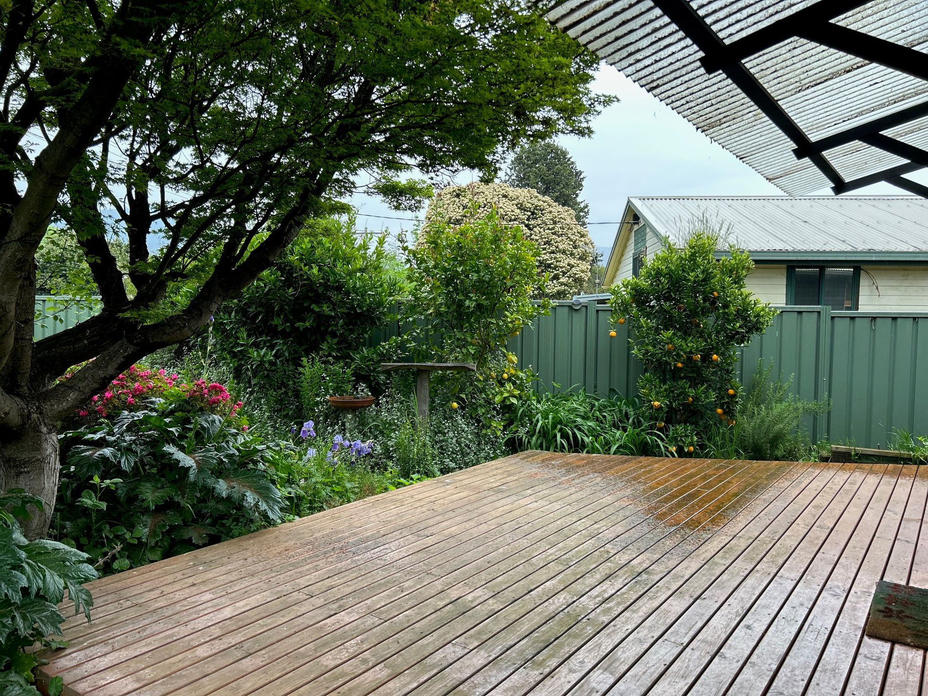 17 Freeburgh Avenue , Mount Beauty