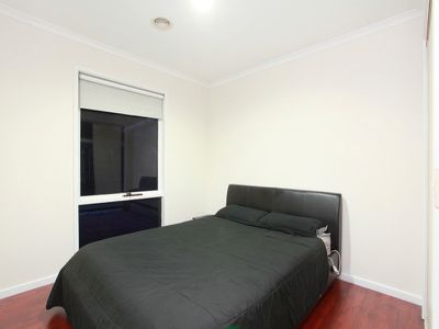 25 Pinehill Drive, Rowville
