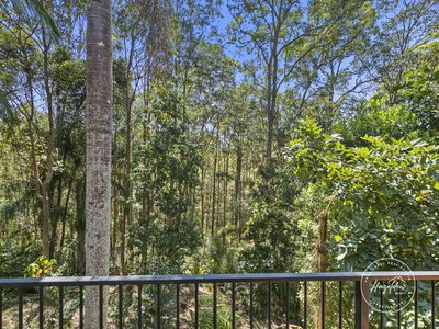 26 Reservoir Road, Landsborough