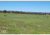 2472 Banjo Paterson Way, Cumnock
