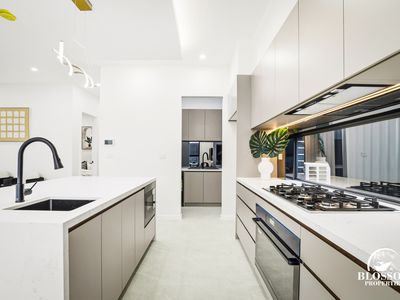 86 Feathertail Avenure, Marsden Park