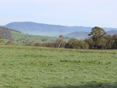 Jerry's Falls Road, Sodwalls