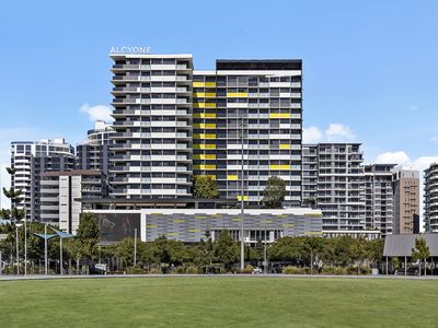 505 / 35 Hercules Street, Hamilton