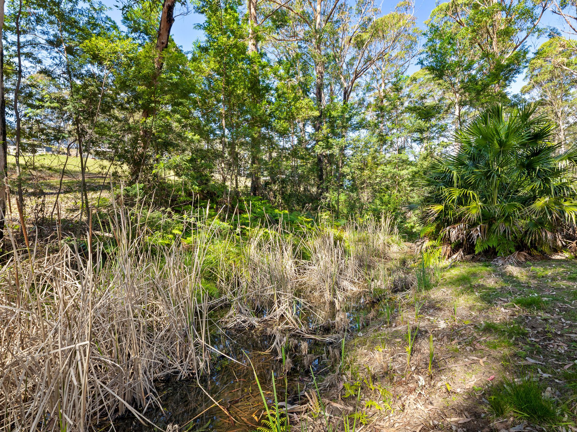 Lot 19, Worthy Drive, Malua Bay