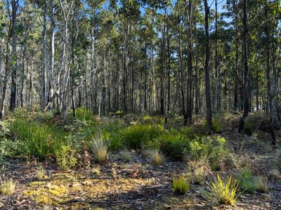 123 Lake View Road, Lake Leake