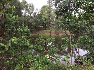 62 Old Mill Road, Carters Ridge
