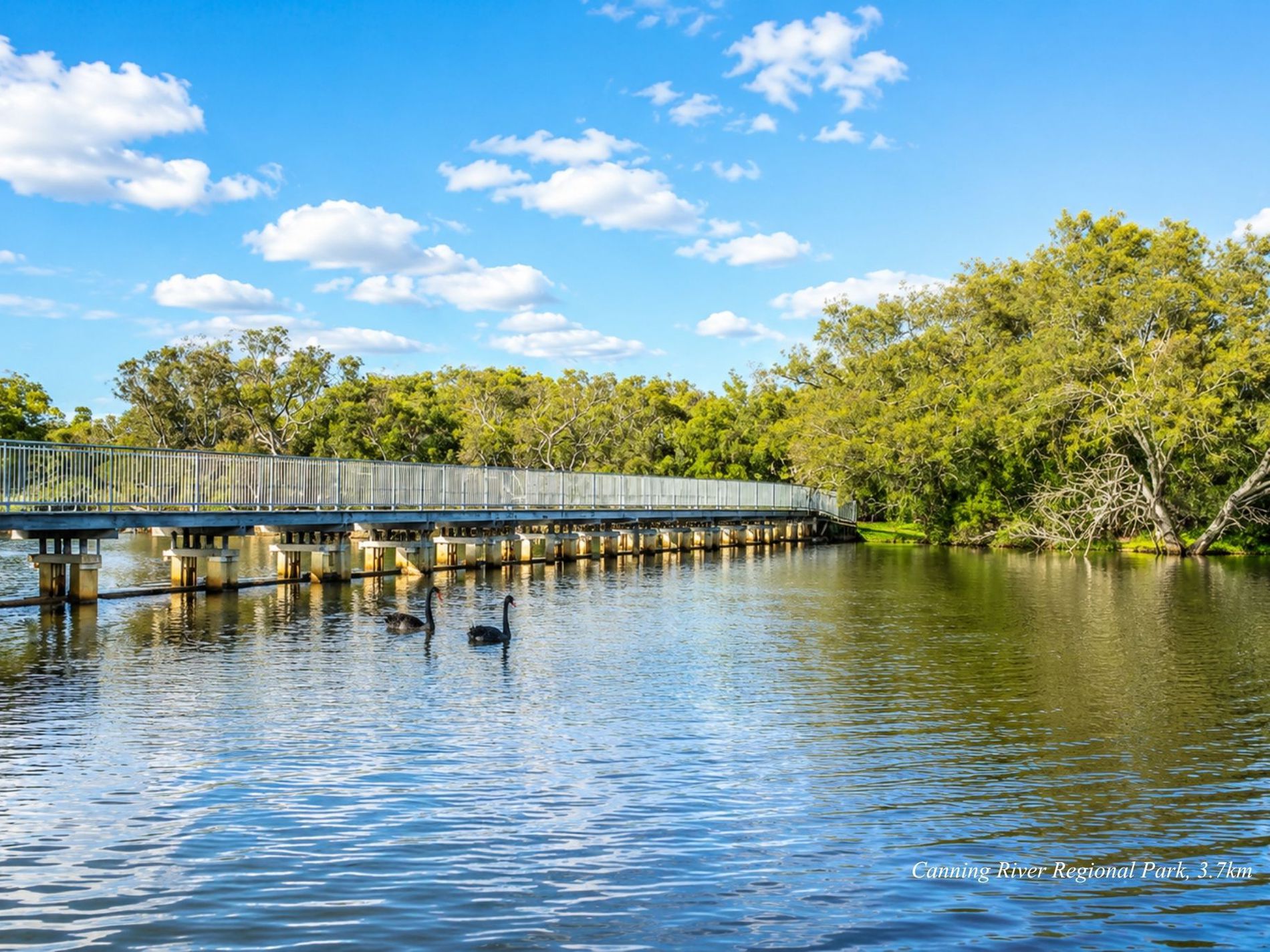 33 Bursaria Crescent, Ferndale