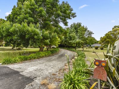 Lot 6  GRAYS LANE, Millicent