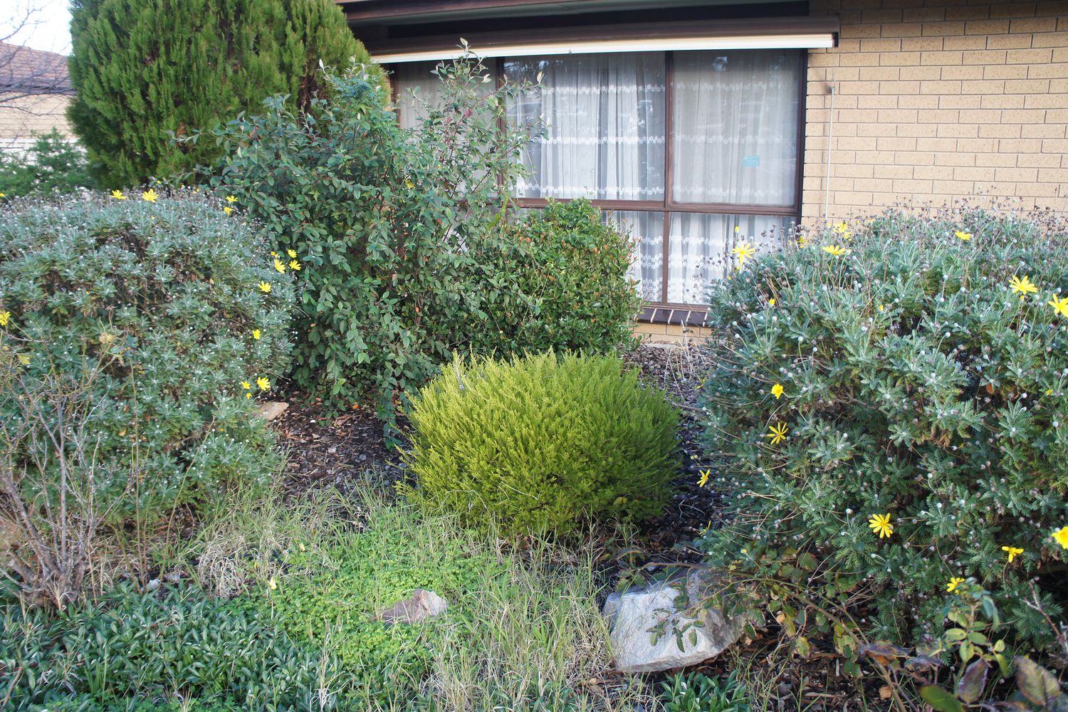 1 / 15 Pynsent Street, Horsham