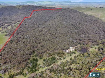 330 Paddys Dam Road, Tooborac