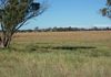 Lot 4, 161 Whiteleys Road, Molong