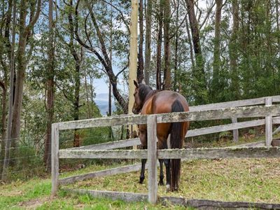 D3380 Princes Highway, Jerrawangala