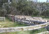 48 Lower Lewis Ponds Road, Orange