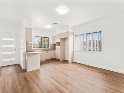 30 Lake Avenue, Cringila